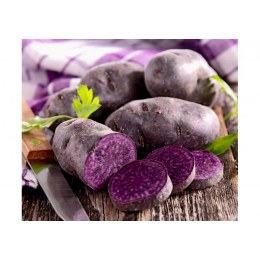 Patatas De Siembra Vitelotte