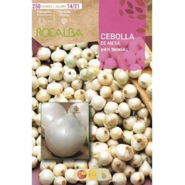 Cebolla de Mesa