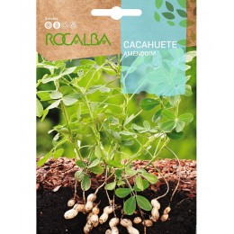 Semilla Horticola Cacahuete