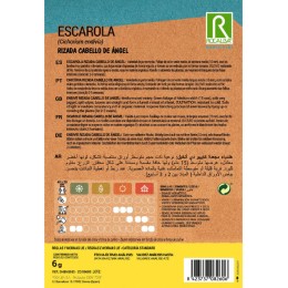 Semilla Horticola Escarola Rizada Cabello de Ángel