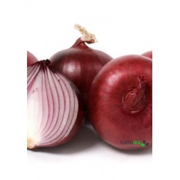 Semilla Horticola Cebolla Roja De Zalla