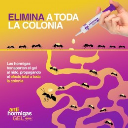 Fin Hormigas Gel