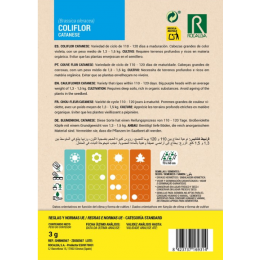 Semilla Coliflor Catanese Morada
