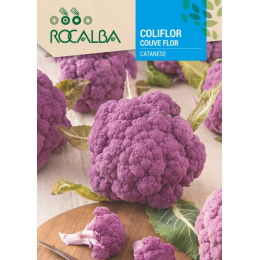 Semilla Coliflor Catanese Morada