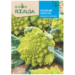 Semilla Horticola Coliflor Romanesco Natalino